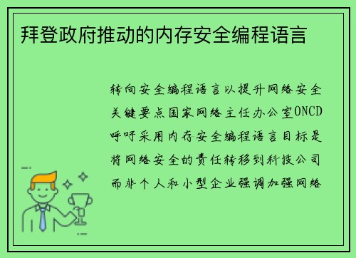 拜登政府推动的内存安全编程语言 